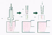 Put dosing tube into powder plate. The powder will be compressed into slug. Then eject the powder slug into the open capsule.